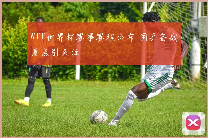 WTT世界杯赛事赛程公布 国乒备战看点引关注