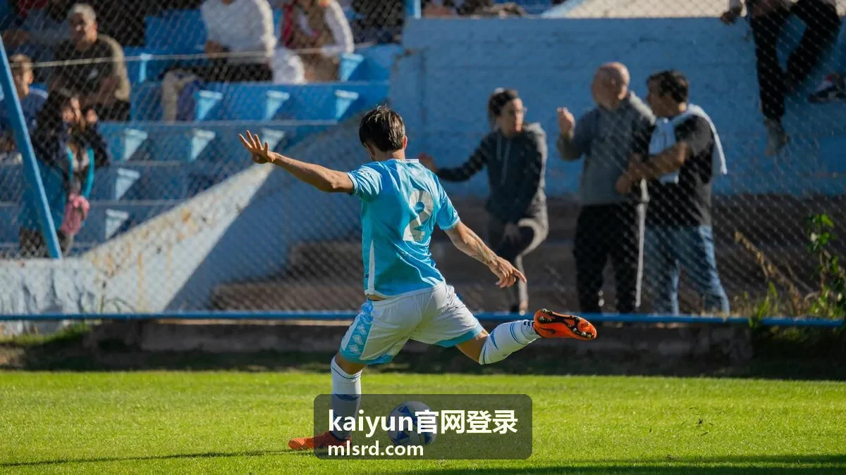 kaiyun官网登录 登录入口核对页面示意