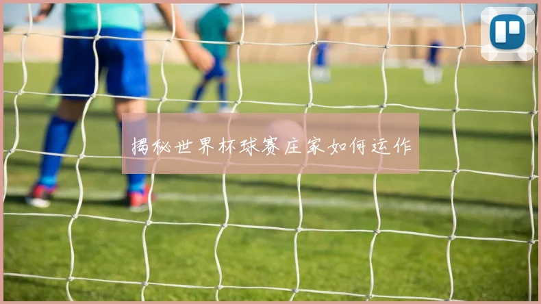 揭秘世界杯球赛庄家如何运作
