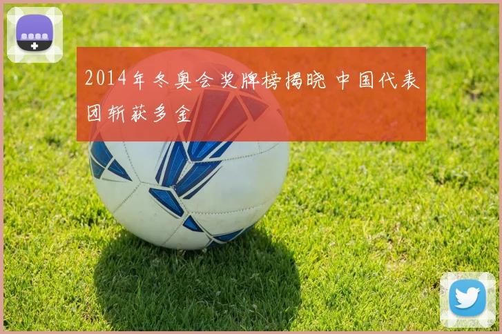 2014年冬奥会奖牌榜揭晓 中国代表团斩获多金