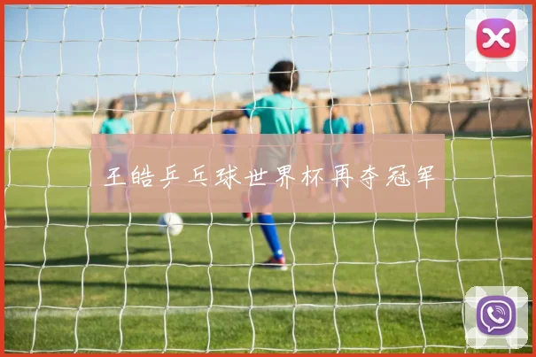王皓乒乓球世界杯再夺冠军