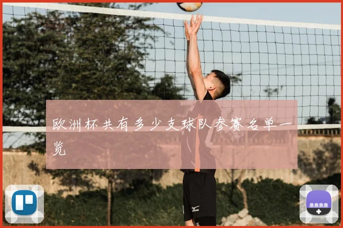 欧洲杯共有多少支球队参赛名单一览