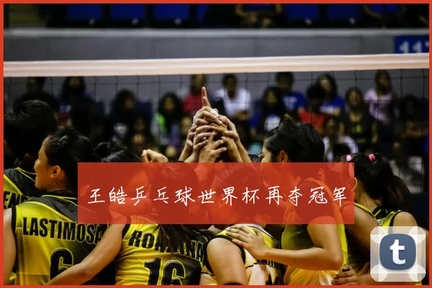 王皓乒乓球世界杯再夺冠军