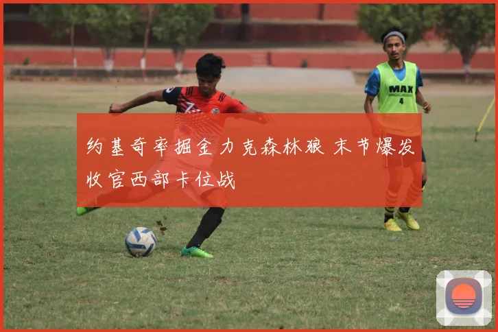 约基奇率掘金力克森林狼 末节爆发收官西部卡位战