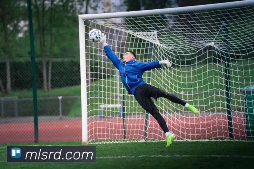 世界杯官网登录app服务体系